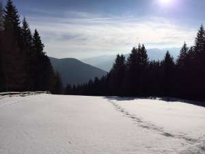 Lüsner Alm in Südtirol