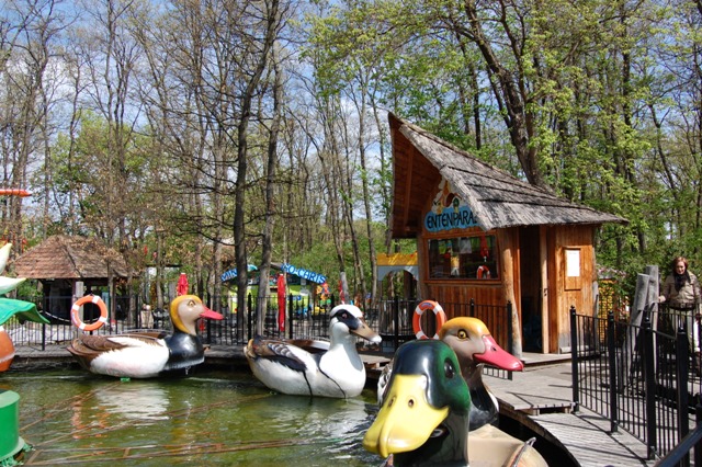 Entenparade im Familypark im Burgenland