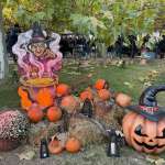 Halloween im Family Park - Tolle Deko