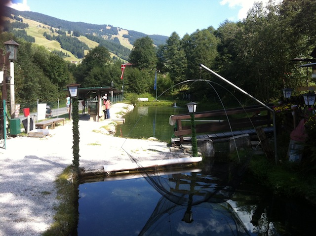Fischen am Angelteich Bärenbach in Saalbach