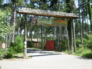 Erlebnispark Gänserndorf - Sommercamp für Kinder