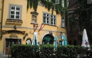 Lokal - Gasthaus in Wien