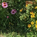 Blumenbeet im Garten