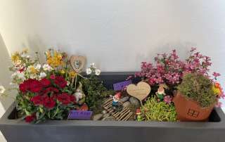 Mininaturgarten - Blumen, Pflanzen - Dekoration