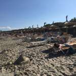 Hotel Iberostar Albufera Playa Mallorca - Strand Liegen